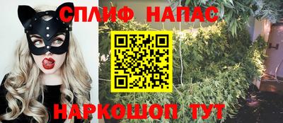 Альфа ПВП Заволжье