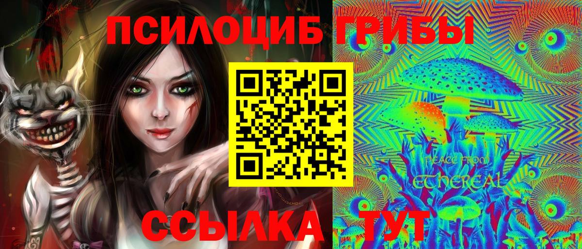 Псилоцибиновые грибы мицелий  наркошоп  Междуреченск  Вход с VPN  Галлюциногенные грибы Psilocybine cubensis 